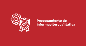 Procesamiento de informacion cualitativa