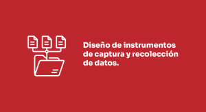 Diseño de instrumentos de captura y recoleccion de datos
